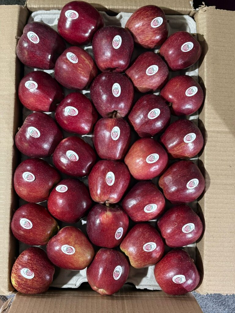 What makes Kotkhai apple special high altitude apple farming in Himachal