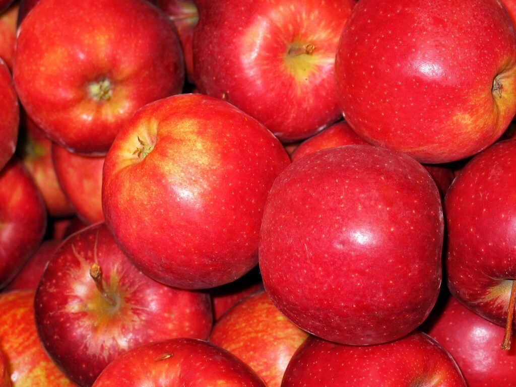 Types of Apples in Himachal Pradesh including red green and golden varieties