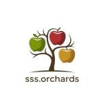 logo-removebg-preview